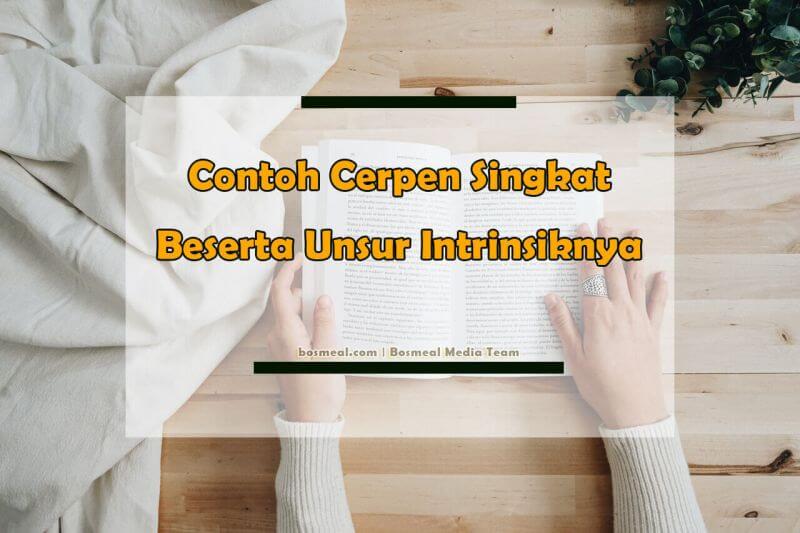 √ 8 Contoh Cerpen Singkat Terbaik Beserta Struktur & Unsur Intrinsiknya