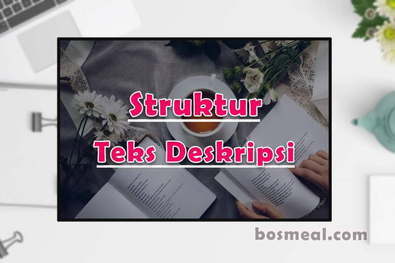 Contoh Teks Deskripsi Beserta Penjelasan Strukturnya