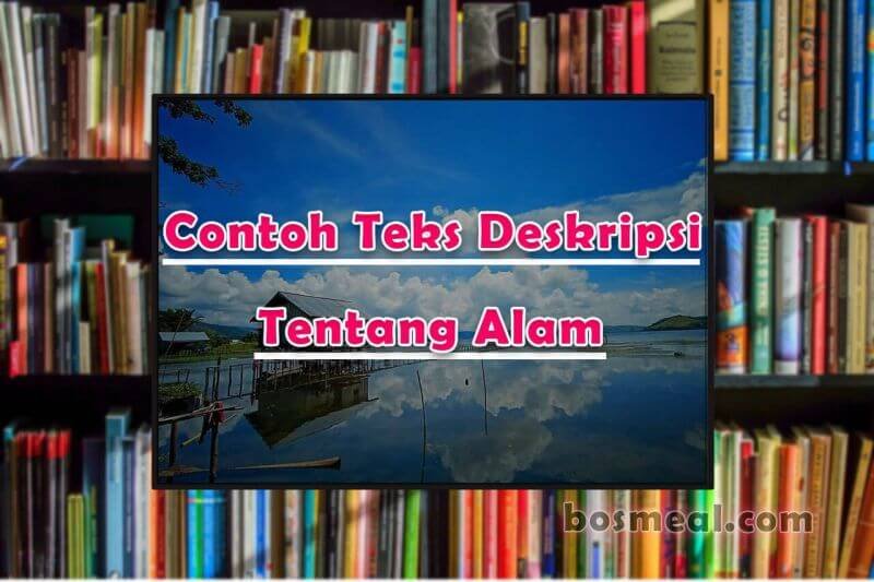 Paragraf Yang Mengandung Unsur Deskripsi Umum Adalah Contoh Teks Deskripsi Beserta Penjelasan Strukturnya