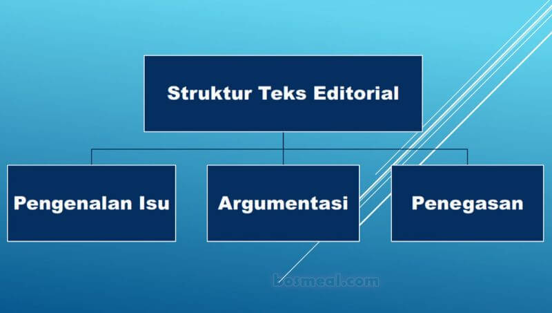 √ 13 Contoh Teks Editorial Singkat Di Koran Beserta Strukturnya