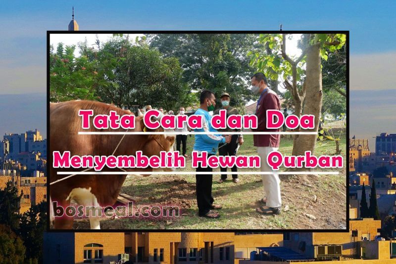 Doa Menyembelih Hewan Qurban 2021 & Tata Cara Sesuai Sunnah